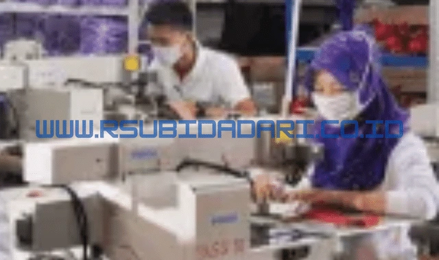 Gaji PT Eigerindo Multi Produk Industri Terlengkap