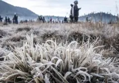 Suhu Dingin Ekstrem "Bediding" Landa Jawa: Ini Penyebab dan Daerah Terdampak