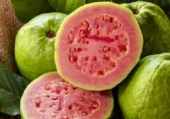 Tingkatkan Trombosit Secara Alami: Rekomendasi 15 Makanan Pilihan