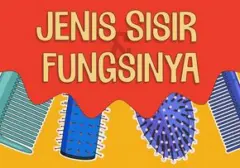 Panduan Lengkap: Mengenal Jenis Sisir dan Fungsinya untuk Perawatan Rambut Optimal