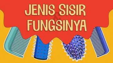 Panduan Lengkap: Mengenal Jenis Sisir dan Fungsinya untuk Perawatan Rambut Optimal