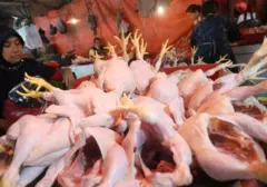Daging Ayam Lampaui Cabai dan Beras, Jadi Komoditas Paling Meroket Harganya Tahun Ini
