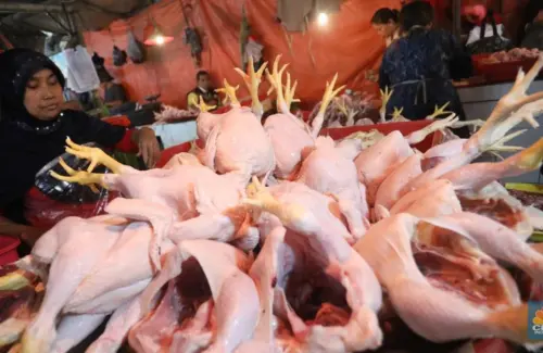 Daging Ayam Lampaui Cabai dan Beras, Jadi Komoditas Paling Meroket Harganya Tahun Ini