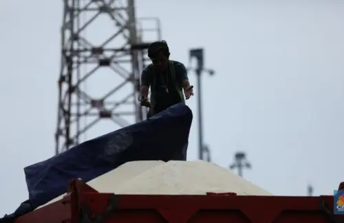 Gula Impor Membanjiri Pasar, Petani Tebu Terdampak, Pemerintah Prabowo Angkat Bicara