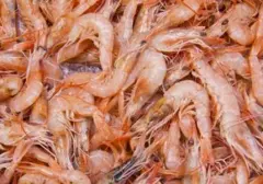 Tangani Alergi Udang: Langkah Cepat dan Tepat untuk Meredakan Gejala