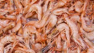 Tangani Alergi Udang: Langkah Cepat dan Tepat untuk Meredakan Gejala