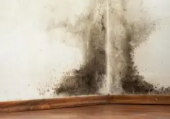 Udara Pengap di Kamar Pertanda Buruk: Kenali 7 Tanda Kualitas Udara Dalam Ruangan Menurun