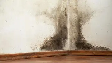 Udara Pengap di Kamar Pertanda Buruk: Kenali 7 Tanda Kualitas Udara Dalam Ruangan Menurun