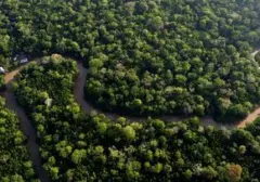 Debu Sahara: Pupuk Alami yang Menghidupi Hutan Amazon