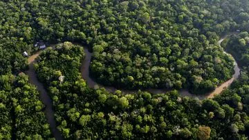 Debu Sahara: Pupuk Alami yang Menghidupi Hutan Amazon