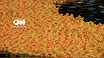 Ribuan Bebek Karet Ramaikan Sungai Thames dalam Lomba Tahunan London