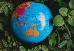 Rapor Ekonomi RI 7 Bulan: Tantangan Global dan Sinyal Pemulihan yang Perlu Diperhatikan