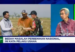 Produsen Benih Unggul Mendesak Akses Pembiayaan Bank untuk Inovasi dan Ketahanan Pangan