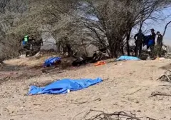Tragedi Pesawat Jatuh Dekat Gunung Fuji, Seluruh Penumpang Tewas