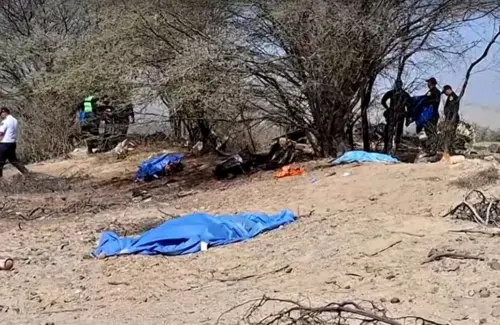Tragedi Pesawat Jatuh Dekat Gunung Fuji, Seluruh Penumpang Tewas