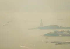 Asap Kebakaran Hutan Mematikan: Ribuan Nyawa Melayang di Amerika Akibat Polusi Udara