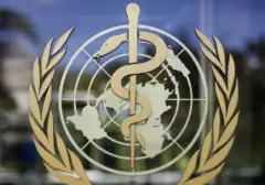 WHO Ungkap Strategi Licik Industri Makanan dalam Krisis Obesitas Global