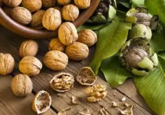 Lawan Pikun dengan Lezat: 8 Pilihan Makanan yang Dukung Kesehatan Otak