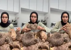 Kimpul: Umbi Lokal yang Menggemparkan Jagat Maya Berkat Olahan Kekinian