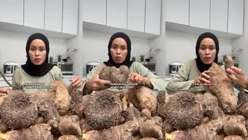 Kimpul: Umbi Lokal yang Menggemparkan Jagat Maya Berkat Olahan Kekinian