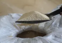 Ambisi Swasembada Gula Indonesia: Mimpi Jadi Raksasa Dunia atau Sekadar Wacana?