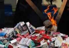 Ekonom Desak Pemberantasan Rokok Ilegal untuk Tangkal Kebocoran Fiskal Negara