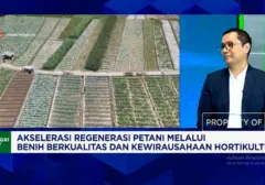 Revolusi Pertanian: Benih Berkualitas Ungkit Cuan, Tarik Minat Generasi Muda Jadi Petani Milenial