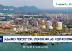 PT Bumi Resources Minerals Tbk (BRMS) Cetak Laba Fantastis 29%, Energi Hijau Jadi Jurus Jitu