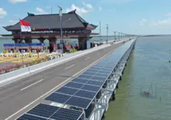 Prabowo Targetkan 100 GW Pembangkit Listrik Tenaga Surya, Proyek Skala Besar Siap Digenjot Termasuk di Bali