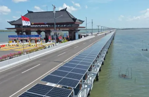 Prabowo Targetkan 100 GW Pembangkit Listrik Tenaga Surya, Proyek Skala Besar Siap Digenjot Termasuk di Bali