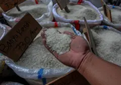 Menteri Amran Ungkap Beras Fortifikasi 'Abal-abal' Dijual Rp 42.000/Kg, Diduga Menipu Konsumen