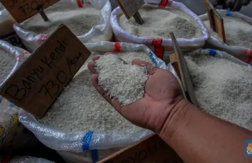 Menteri Amran Ungkap Beras Fortifikasi 'Abal-abal' Dijual Rp 42.000/Kg, Diduga Menipu Konsumen