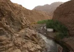 Wadi Wurayah, Permata Alam Pertama UEA yang Diakui UNESCO sebagai Situs Warisan Alam