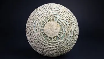 Melon Yubari King Pecahkan Rekor, Terjual Rp658 Juta di Lelang Perdana Jepang