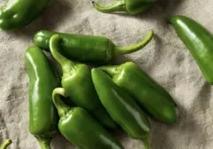 Wabah Salmonella Meluas: Ratusan Terinfeksi Akibat Konsumsi Cabai Jalapeno di Amerika Serikat