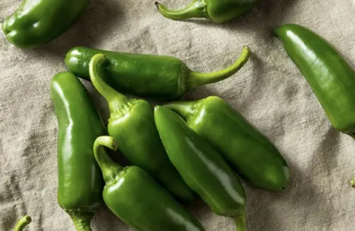 Wabah Salmonella Meluas: Ratusan Terinfeksi Akibat Konsumsi Cabai Jalapeno di Amerika Serikat