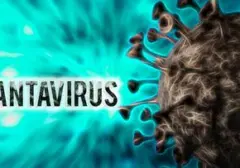 Turis Terinfeksi Hantavirus Andes Diisolasi di Spanyol, Prancis Koordinasi Penanganan