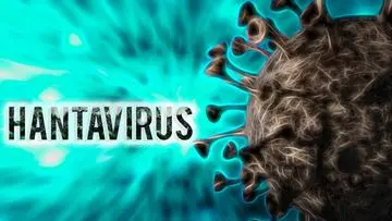 Turis Terinfeksi Hantavirus Andes Diisolasi di Spanyol, Prancis Koordinasi Penanganan