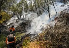 Kebakaran Melanda Kaldera Bromo, Seluruh Akses Wisata Ditutup Total