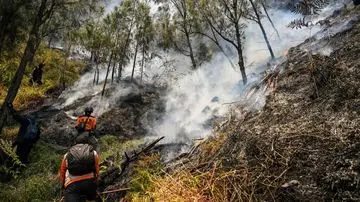 Kebakaran Melanda Kaldera Bromo, Seluruh Akses Wisata Ditutup Total