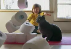 Mengapa Kucing Suka Menjatuhkan Barang? Ilmiah di Balik Perilaku 'Nakal' Ini