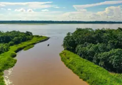 Mengungkap Raksasa Air Dunia: Sungai-Sungai Terpanjang yang Membelah Benua