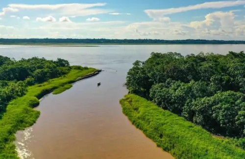 Mengungkap Raksasa Air Dunia: Sungai-Sungai Terpanjang yang Membelah Benua