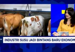 Industri Susu Potensial Jadi Bintang Ekonomi RI, Namun Tantangan Masih Menghadang