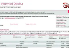 Lunas Utang tapi Riwayat Kredit Masih Buruk? Begini Cara Membersihkan Nama di SLIK OJK