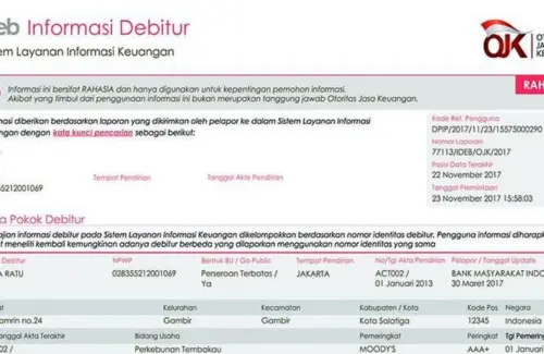 Lunas Utang tapi Riwayat Kredit Masih Buruk? Begini Cara Membersihkan Nama di SLIK OJK