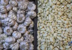BPS Ungkap Penyebab Lonjakan Harga Beras, Minyak Goreng, dan Bawang Putih