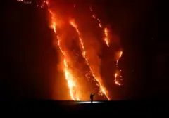 Api Lalap 125 Hektare Hutan Cemara Bromo Akibat Pembakaran Arang Ilegal