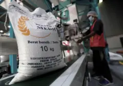 Bulog Bantah Beras Menumpuk di Gudang, Klaim Stok Terus Bergerak dan Tersalurkan