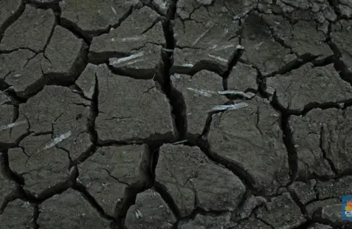 Semburan Lumpur Misterius Muncul di Blora, Badan Geologi Beri Penjelasan